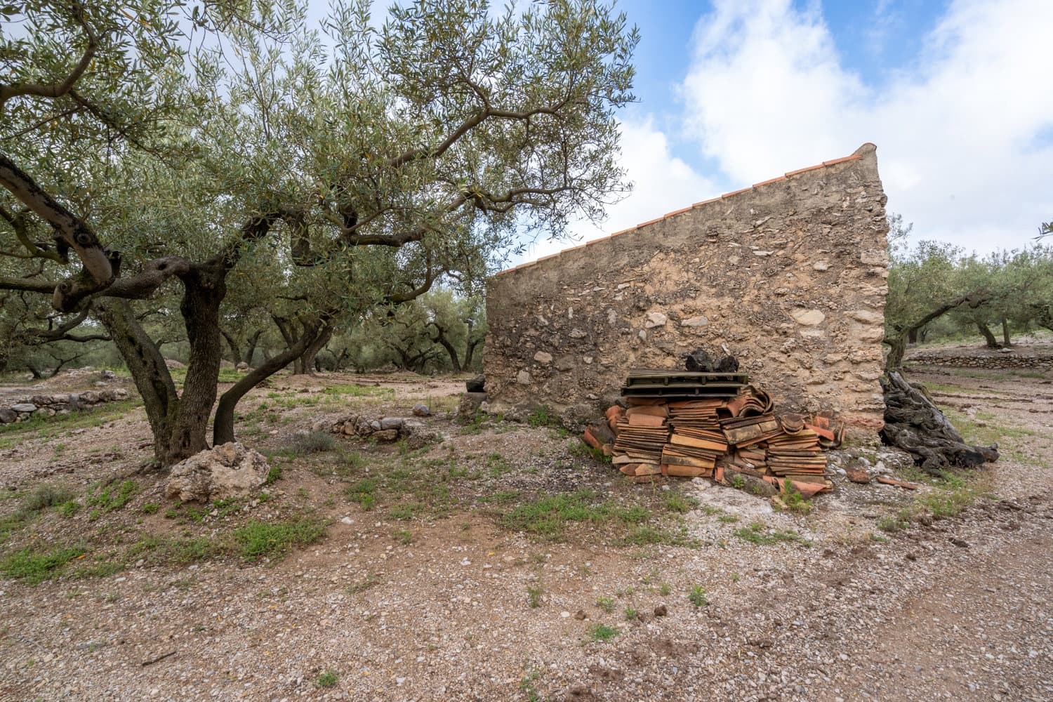 Finca/Landehus til salg i Mas de Barberans - € 17.000 (Ref: 8323318)