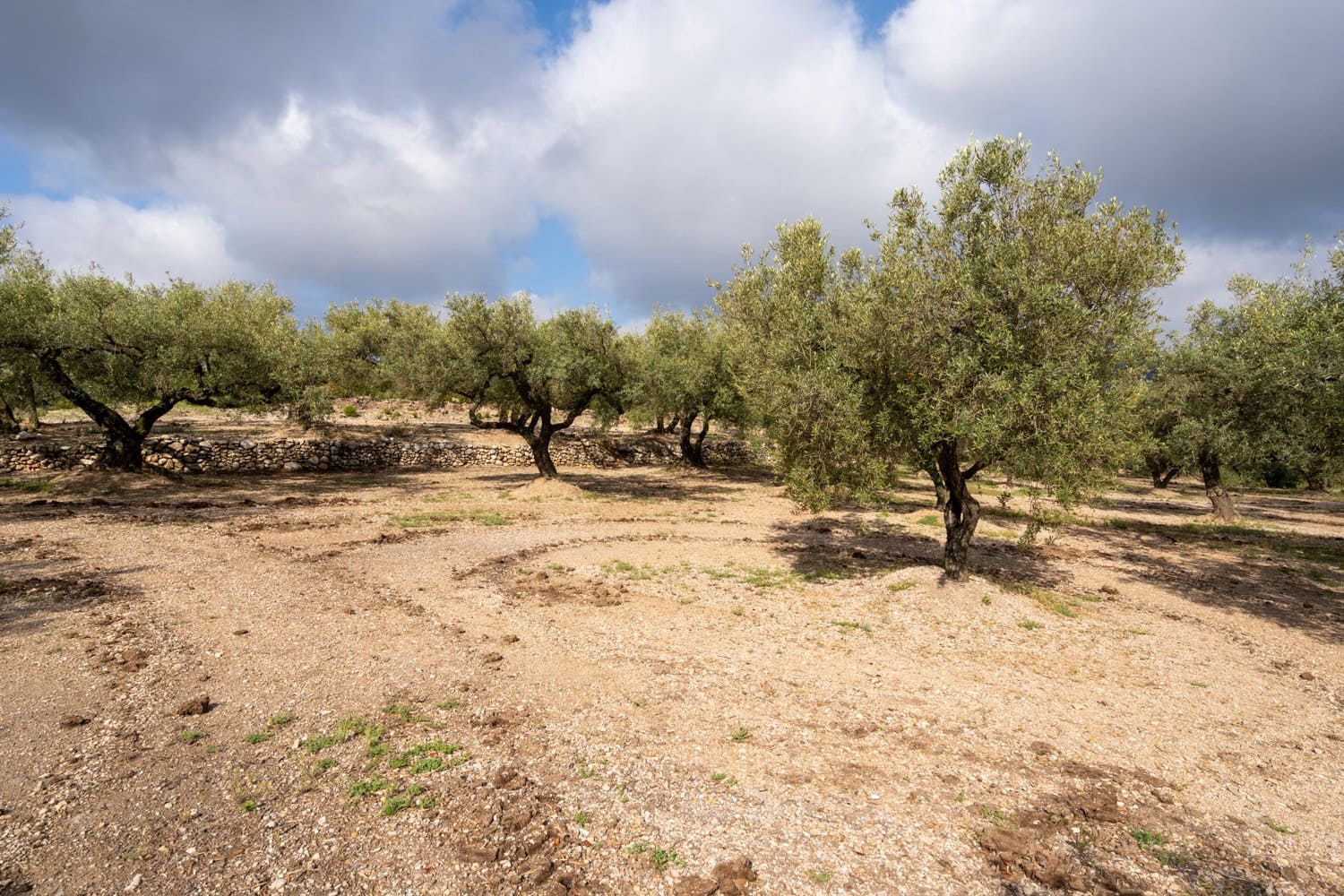 Finca/Landehus til salg i Mas de Barberans - € 17.000 (Ref: 8323318)