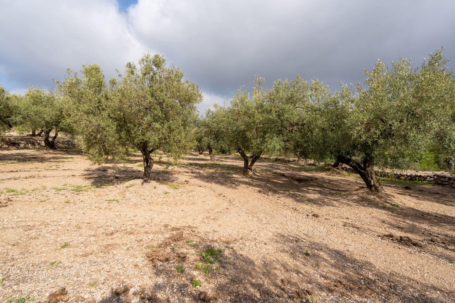 Finca/Landehus til salg i Mas de Barberans - € 17.000 (Ref: 8323318)