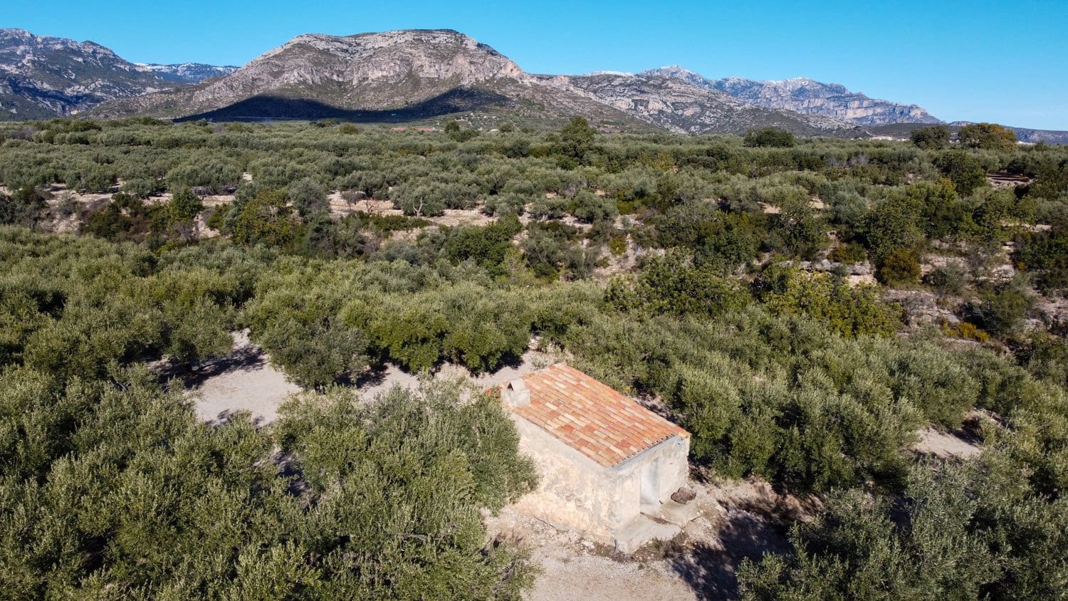 Finca/Landehus til salg i Mas de Barberans - € 17.000 (Ref: 8323318)