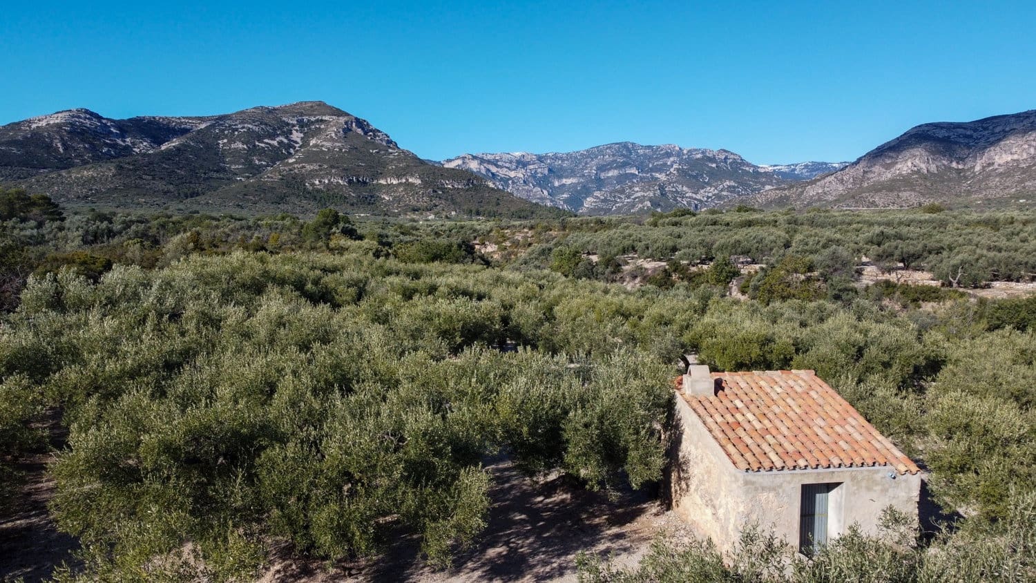 Finca/Landehus til salg i Mas de Barberans - € 17.000 (Ref: 8323318)