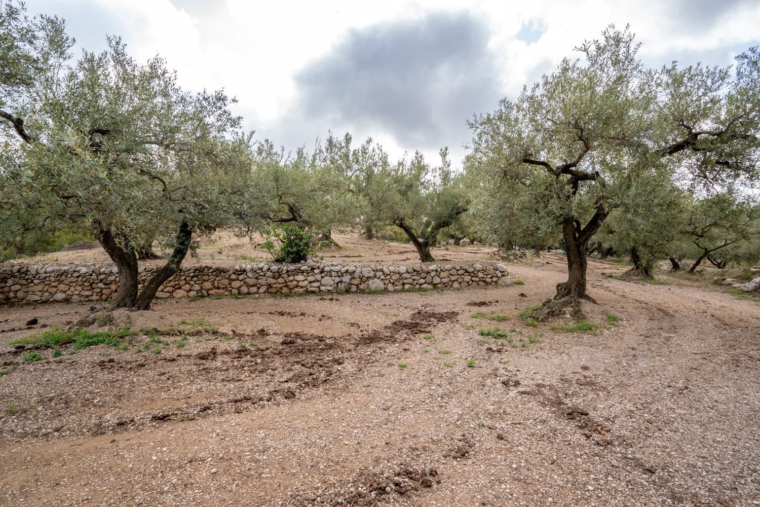 Finca/Landehus til salg i Mas de Barberans - € 17.000 (Ref: 8323318)