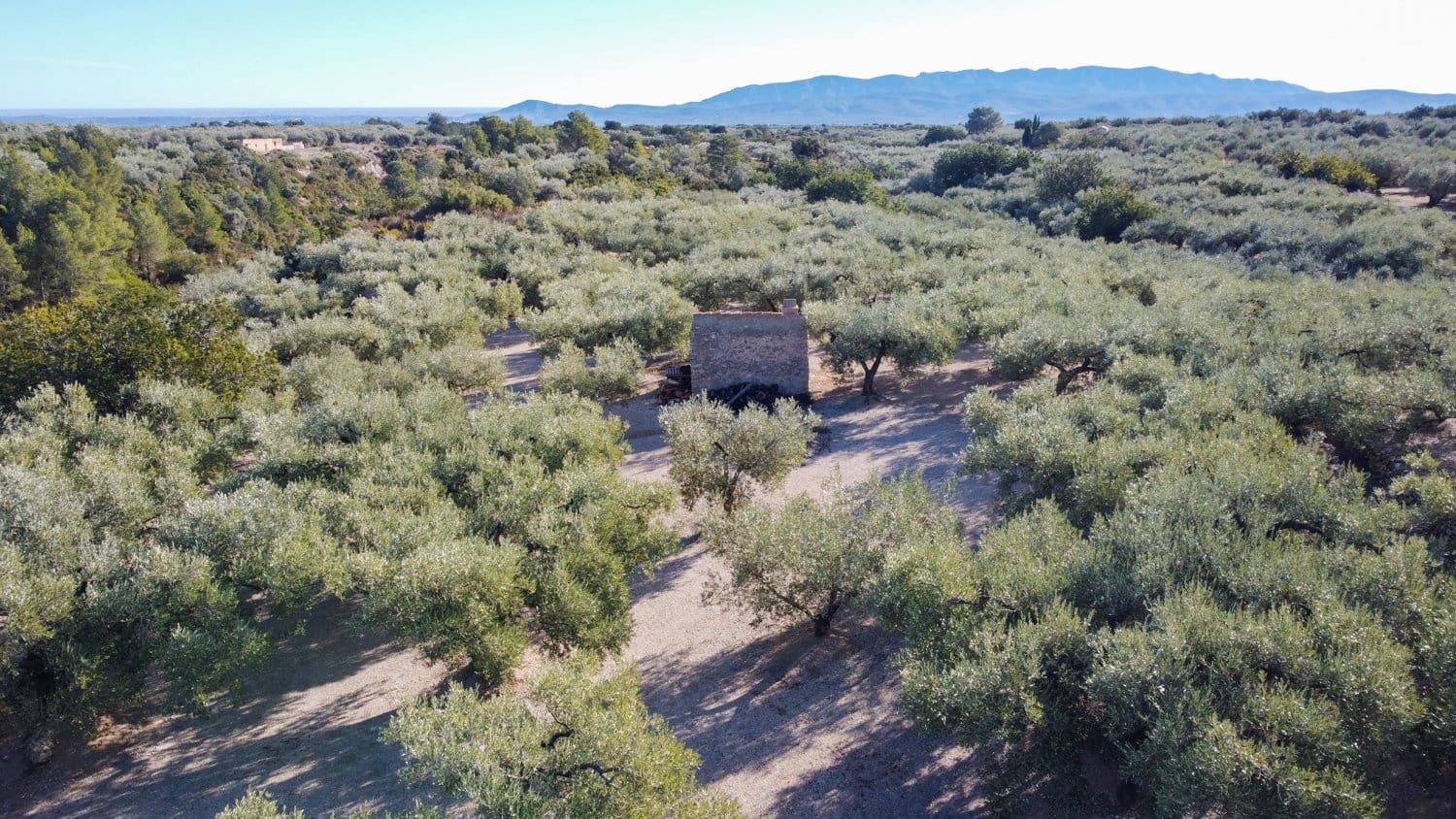 Finca/Landehus til salg i Mas de Barberans - € 17.000 (Ref: 8323318)
