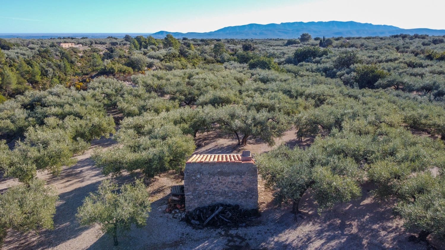 Finca/Landehus til salg i Mas de Barberans - € 17.000 (Ref: 8323318)