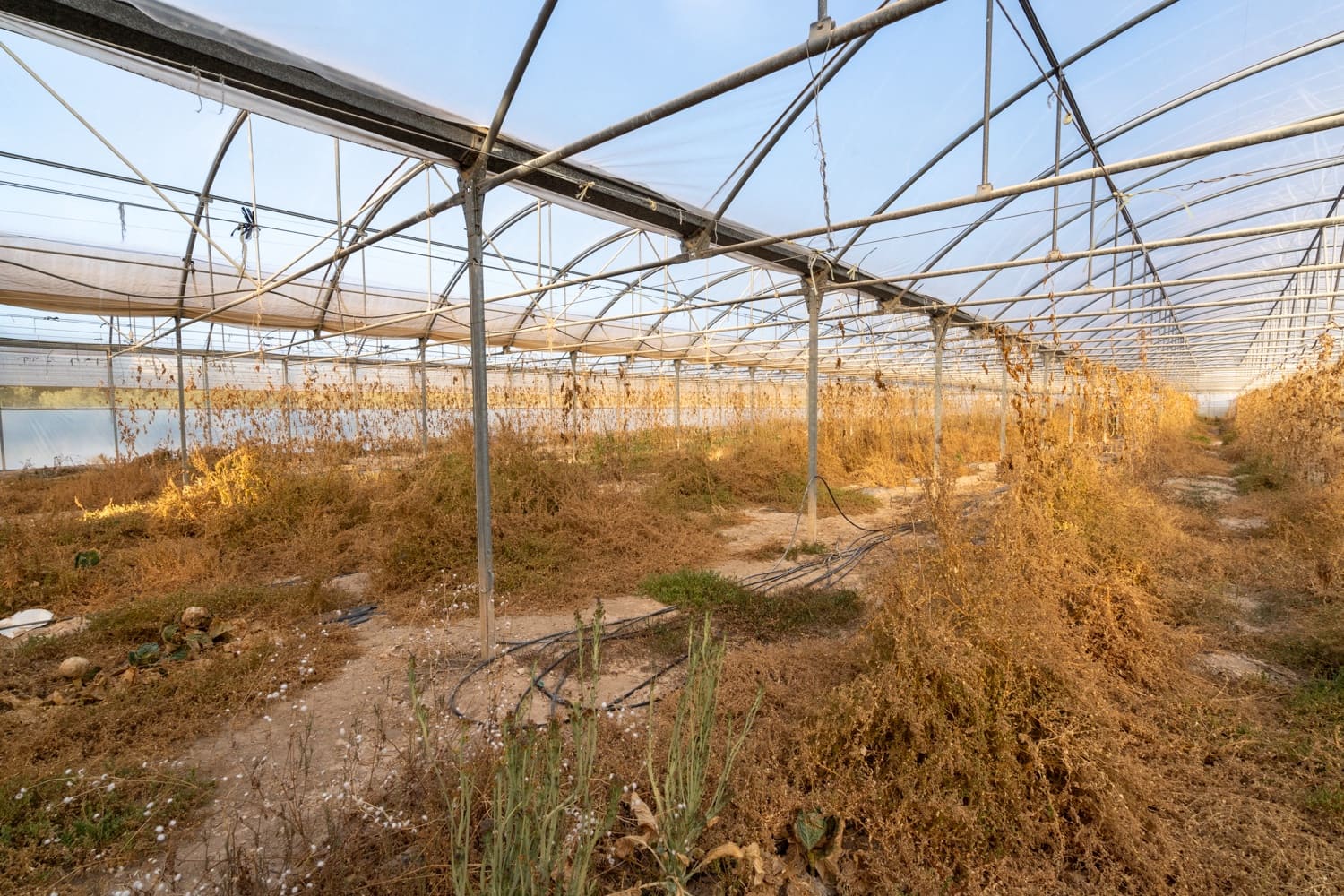 Finca/Landehus til salg i El Pinell de Brai - € 90.000 (Ref: 8342432)