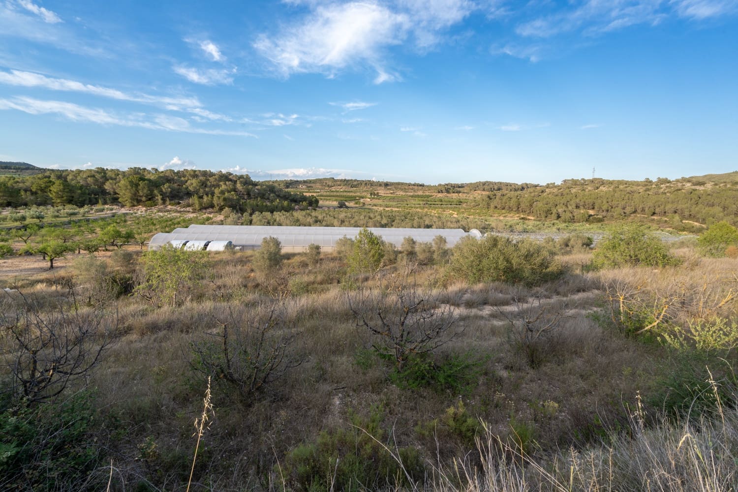 Finca/Landehus til salg i El Pinell de Brai - € 90.000 (Ref: 8342432)