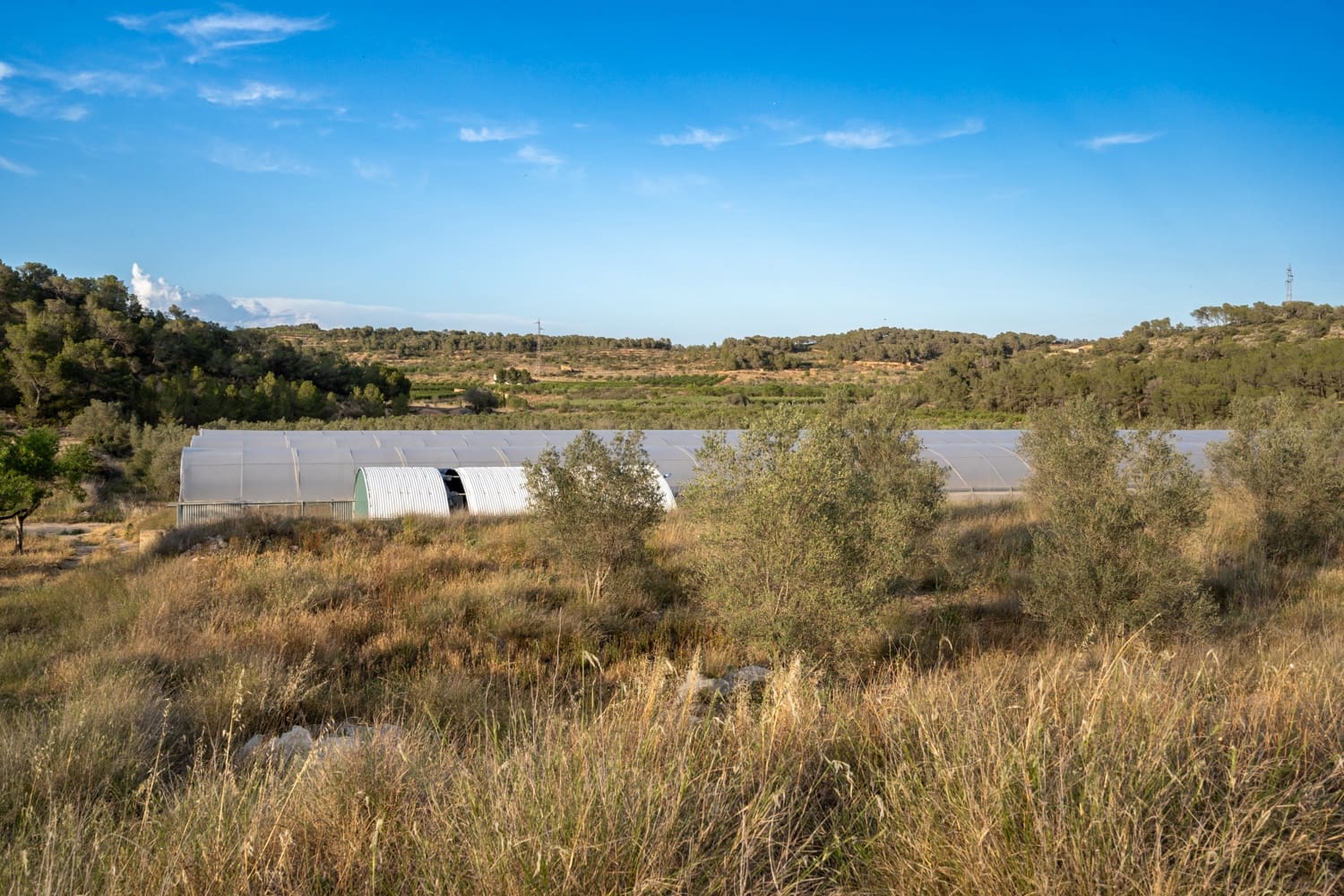 Finca/Landehus til salg i El Pinell de Brai - € 90.000 (Ref: 8342432)