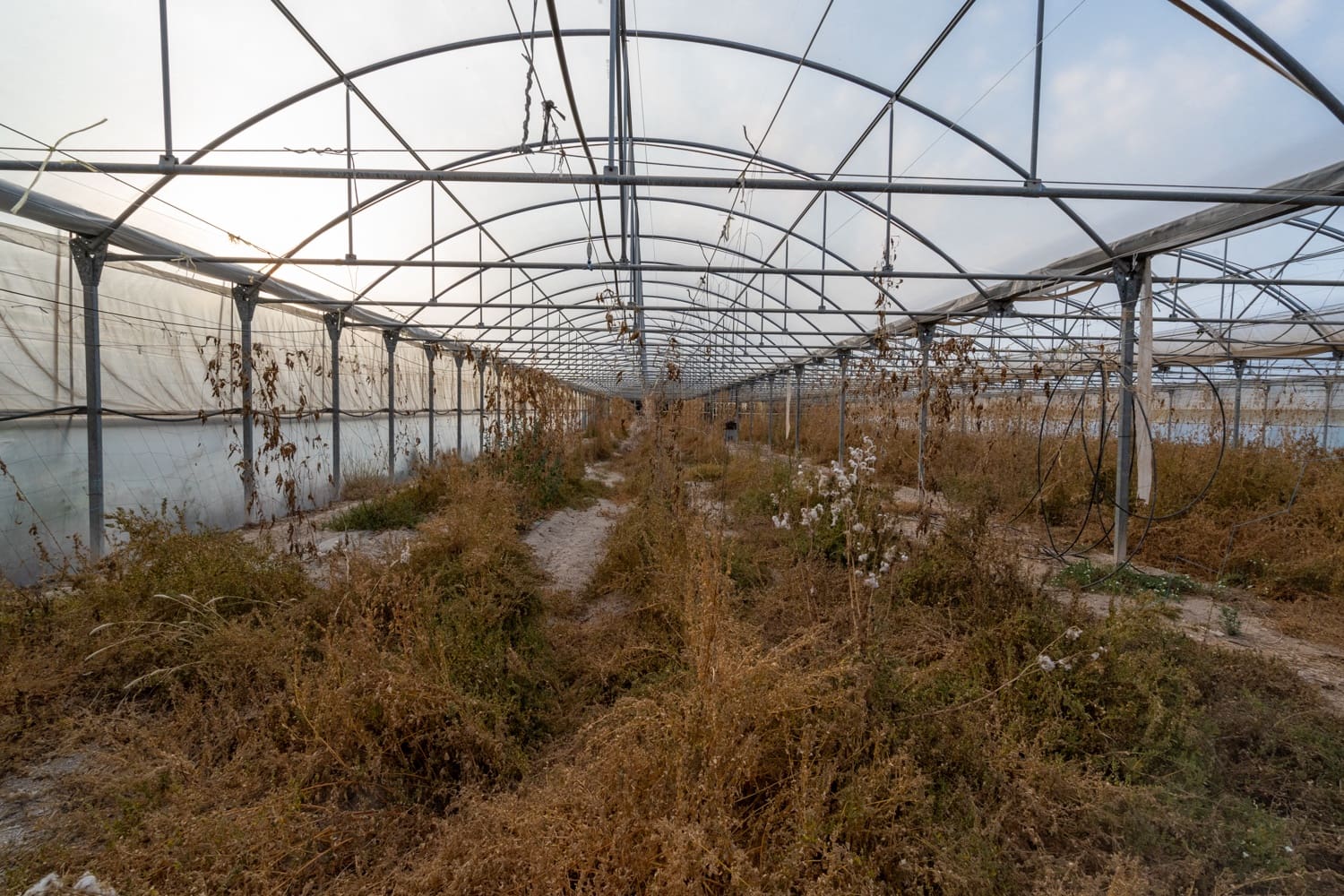 Finca/Landehus til salg i El Pinell de Brai - € 90.000 (Ref: 8342432)