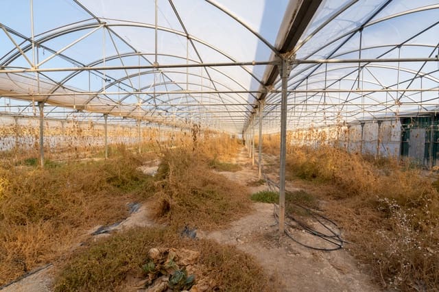 Finca/Landehus til salg i El Pinell de Brai - € 90.000 (Ref: 8342432)