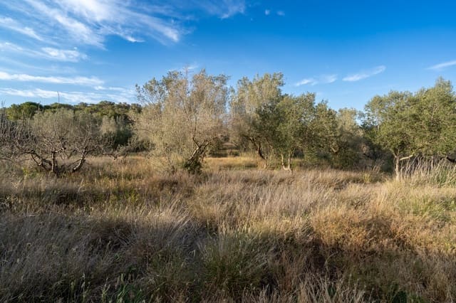 Finca/Landehus til salg i El Pinell de Brai - € 90.000 (Ref: 8342432)