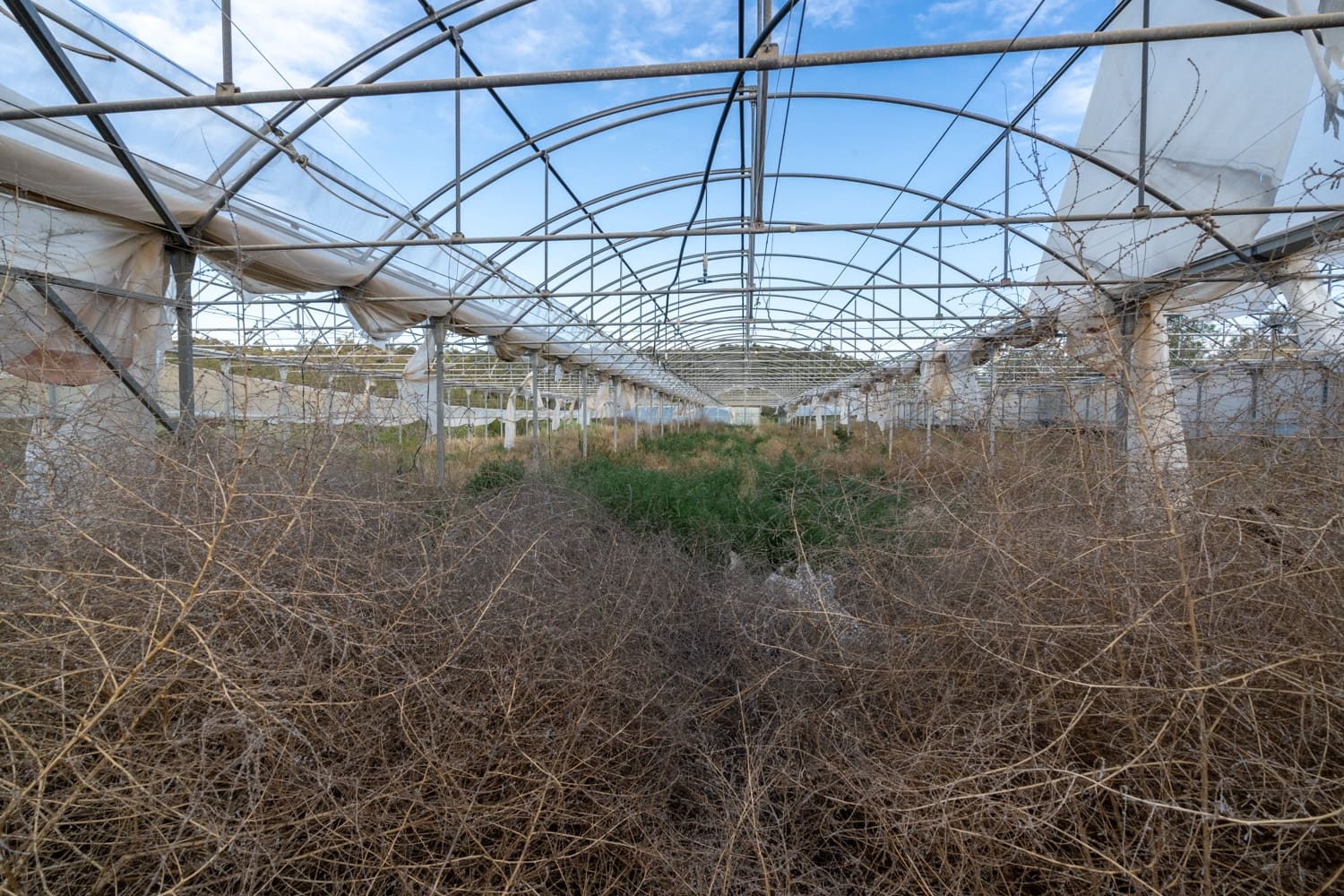 Finca/Landehus til salg i El Pinell de Brai - € 90.000 (Ref: 8342432)