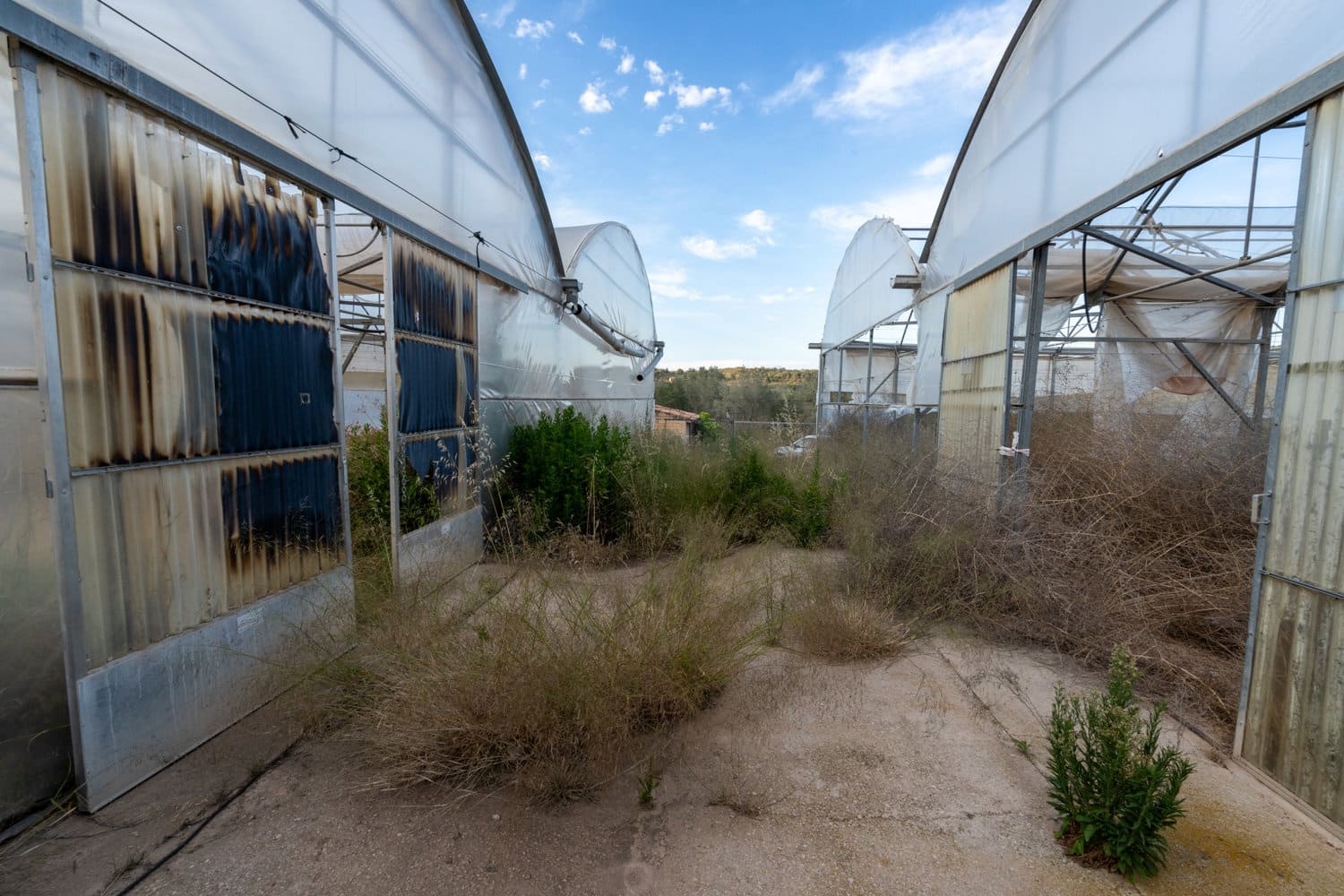 Finca/Landehus til salg i El Pinell de Brai - € 80.000 (Ref: 8342432)