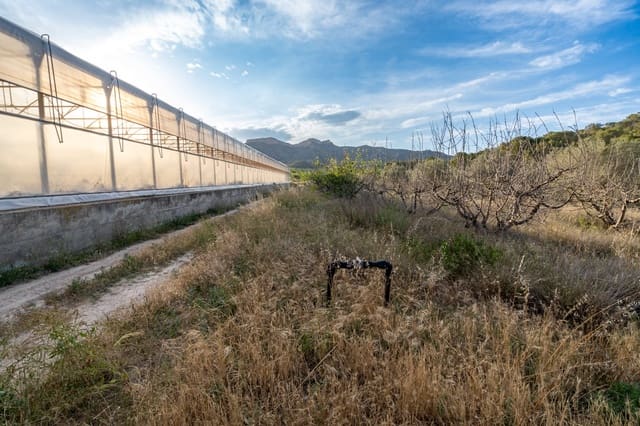 Finca/Landehus til salg i El Pinell de Brai - € 80.000 (Ref: 8342432)