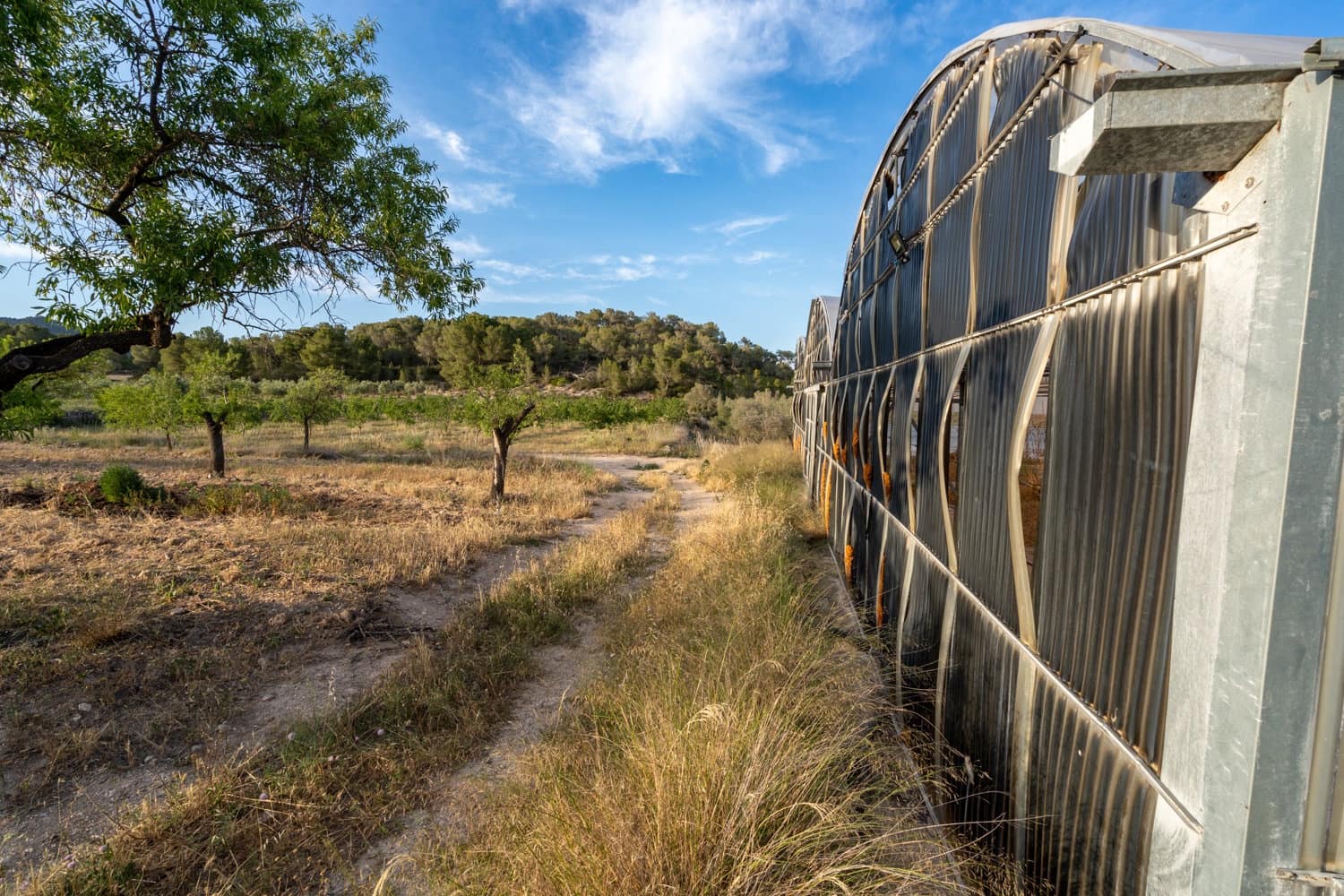 Finca/Landehus til salg i El Pinell de Brai - € 80.000 (Ref: 8342432)