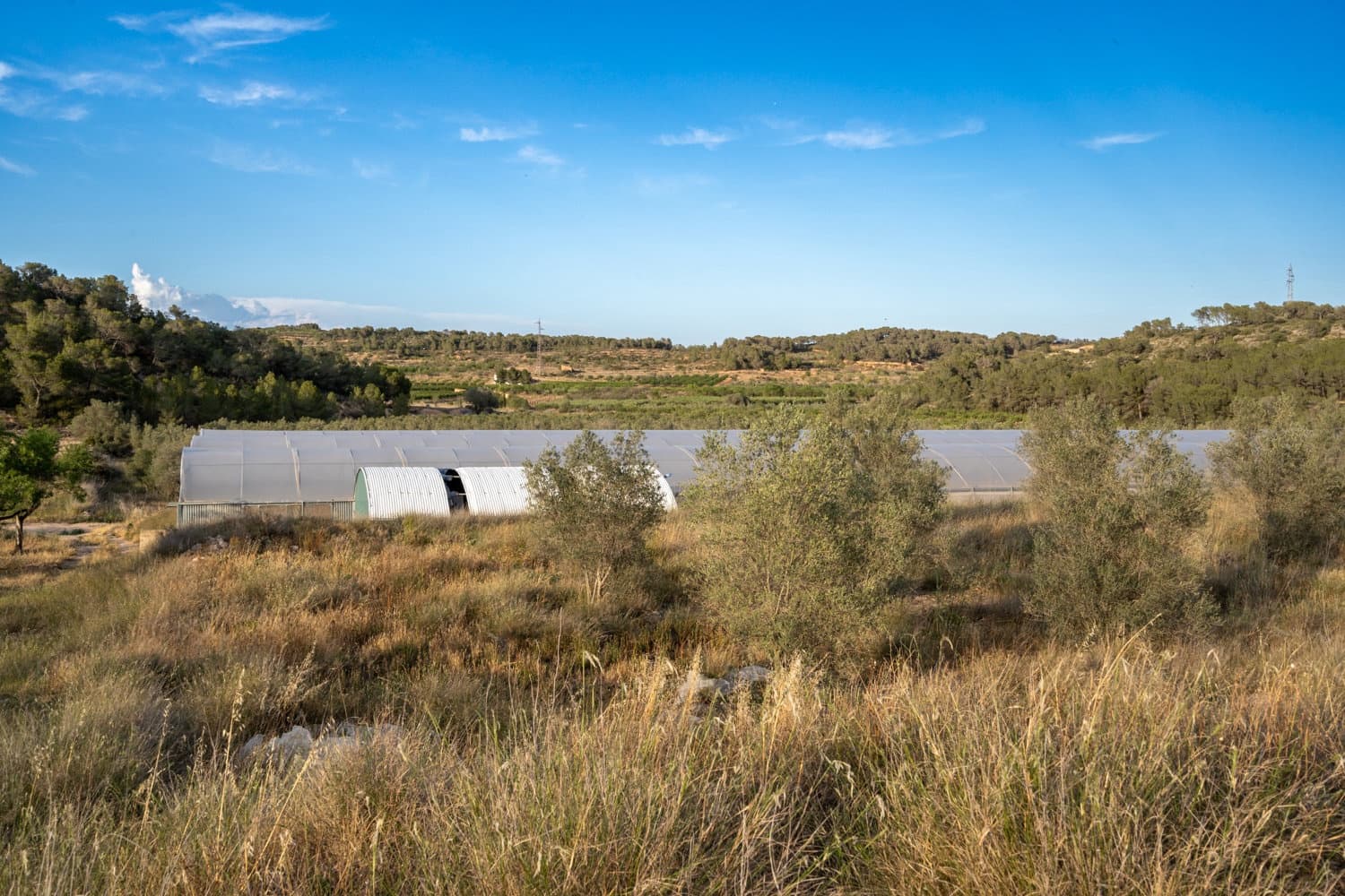 Finca/Landehus til salg i El Pinell de Brai - € 80.000 (Ref: 8342432)