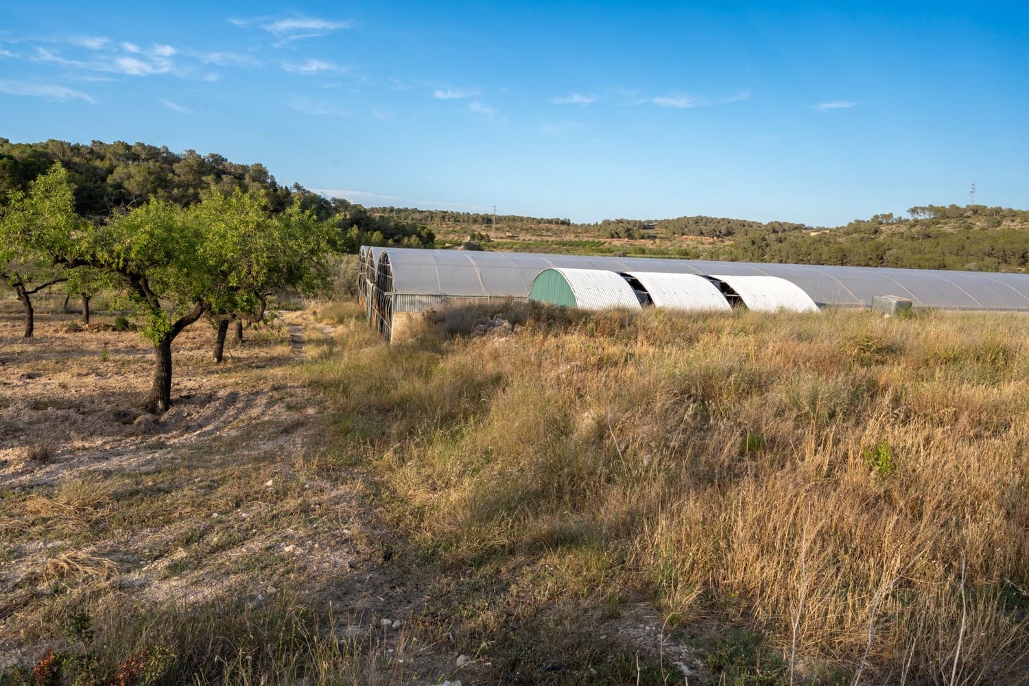 Finca/Landehus til salg i El Pinell de Brai - € 80.000 (Ref: 8342432)