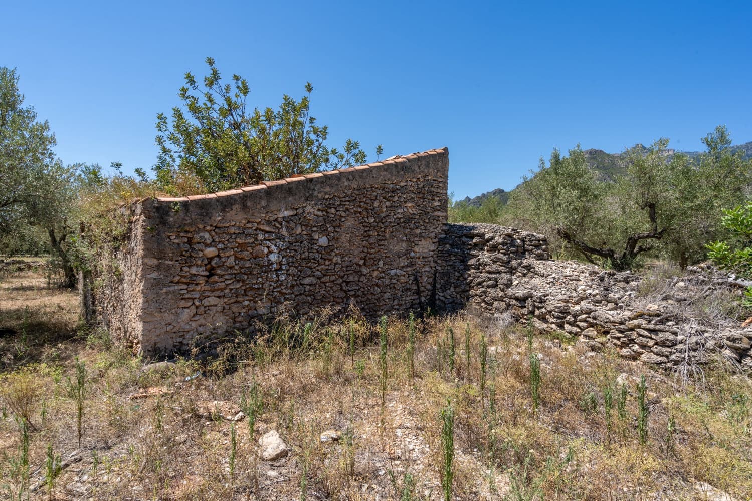 Finca/Hus på landet till salu i Roquetes - 37 000 € (Ref: 8439796)