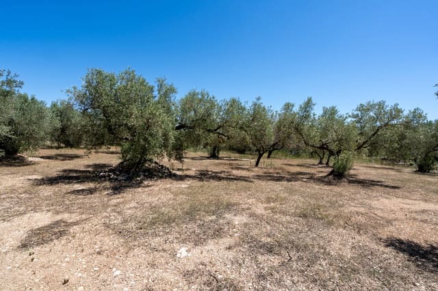 Finca/Landgut zu verkaufen in Roquetes - 37.000 € (Ref: 8439796)