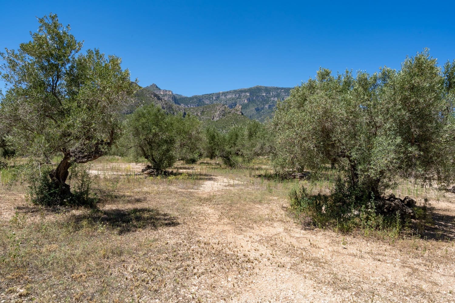 Finca/Hus på landet till salu i Roquetes - 37 000 € (Ref: 8439796)