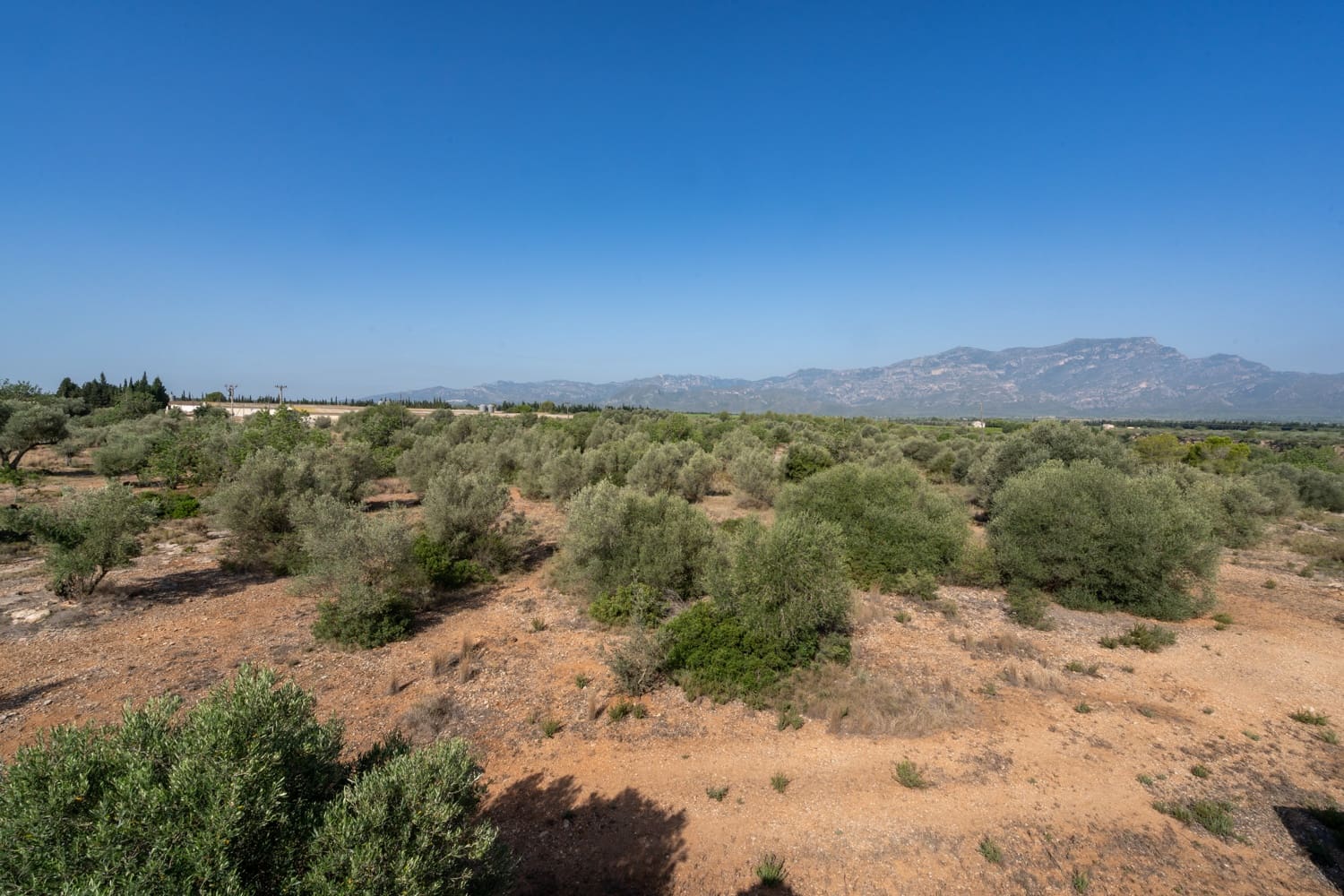 Finca/Landehus til salg i Roquetes - € 160.000 (Ref: 8452662)
