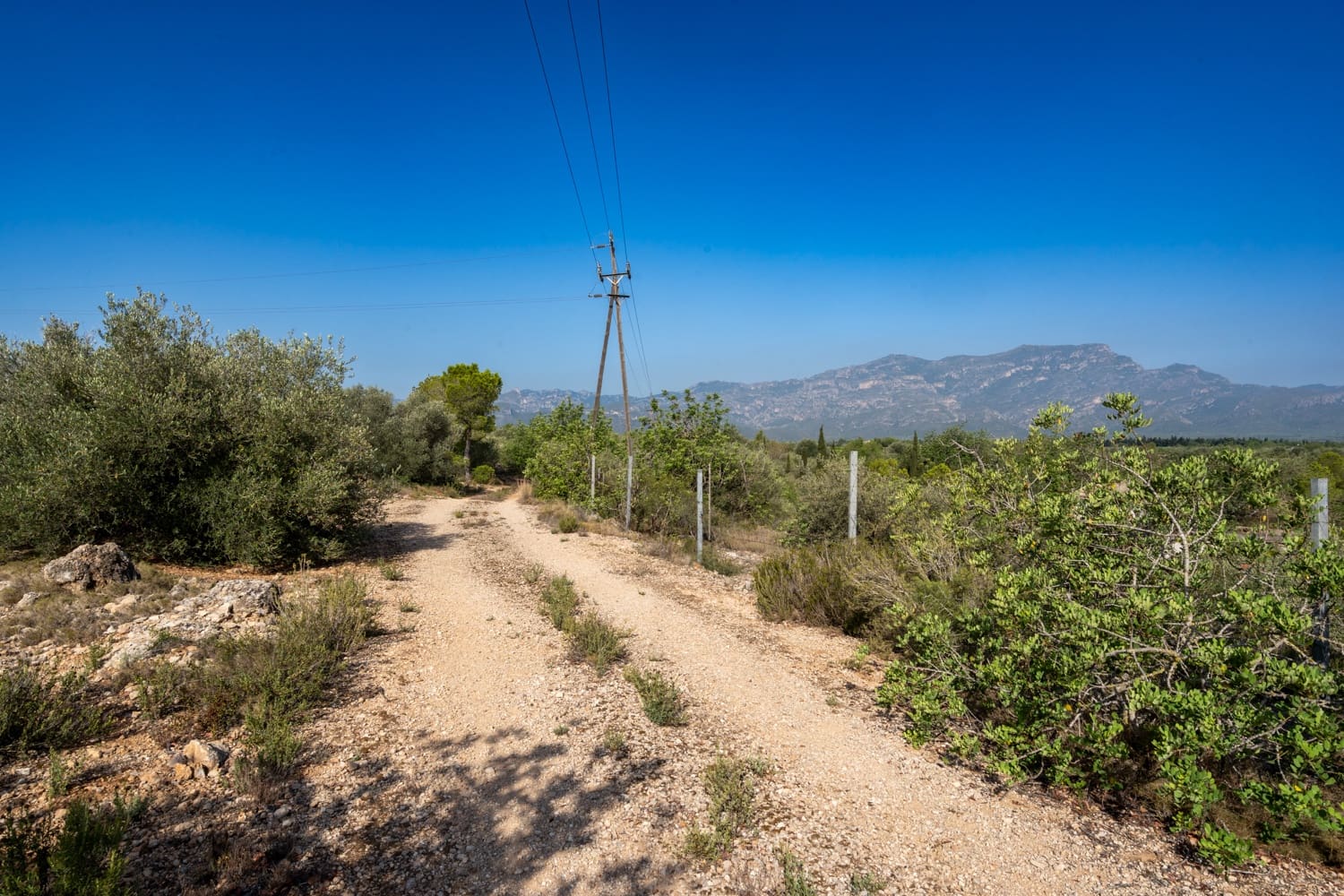 Finca/Landehus til salg i Roquetes - € 160.000 (Ref: 8452662)