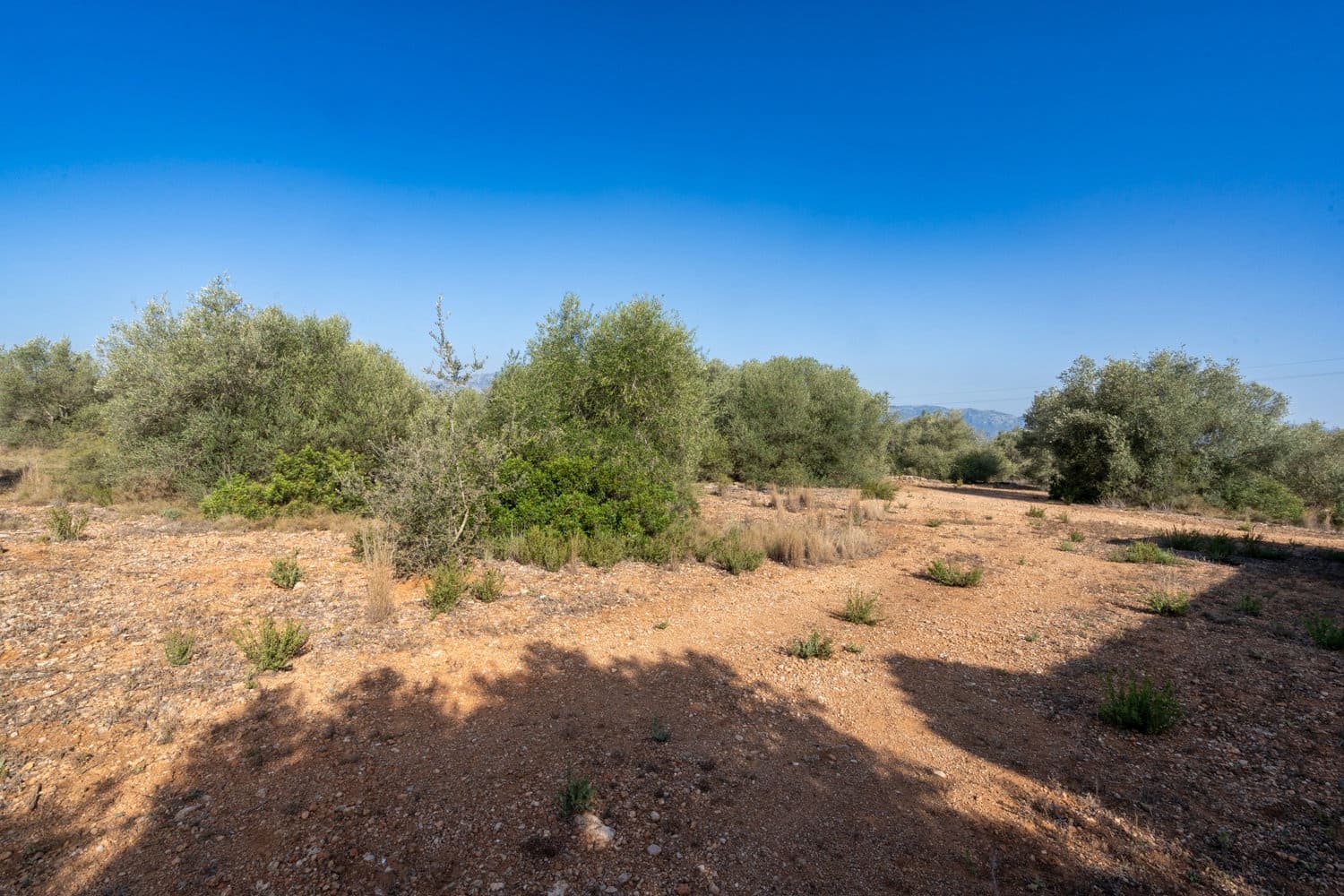 Finca/Hus på landet till salu i Roquetes - 160 000 € (Ref: 8452662)