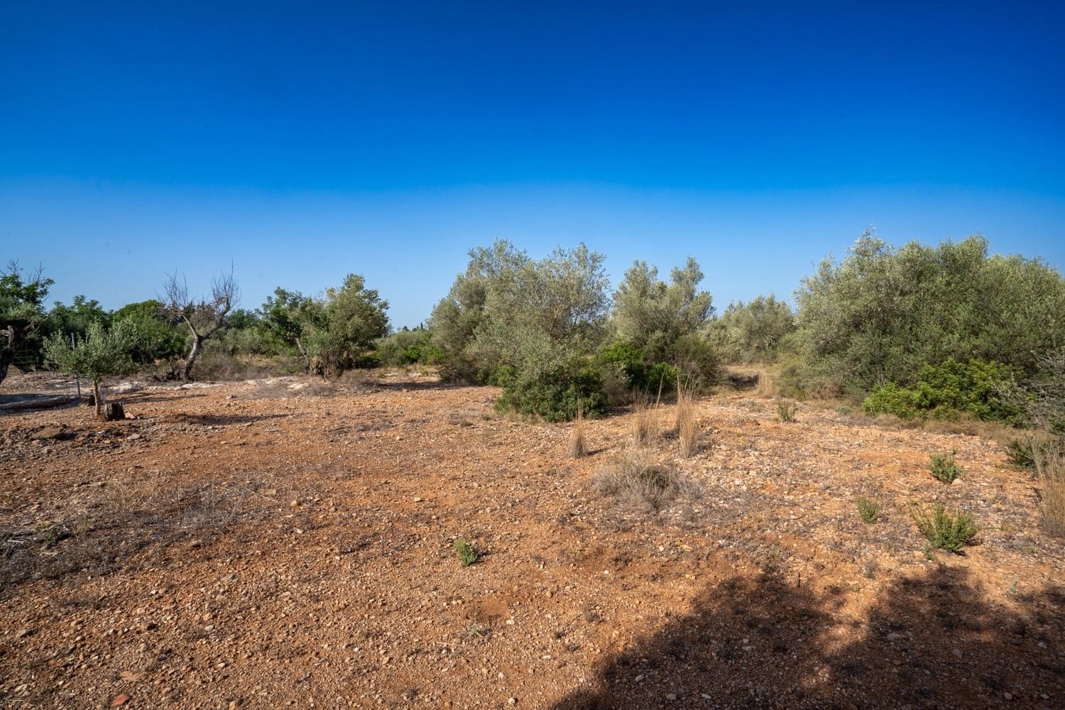 Finca/Hus på landet till salu i Roquetes - 160 000 € (Ref: 8452662)