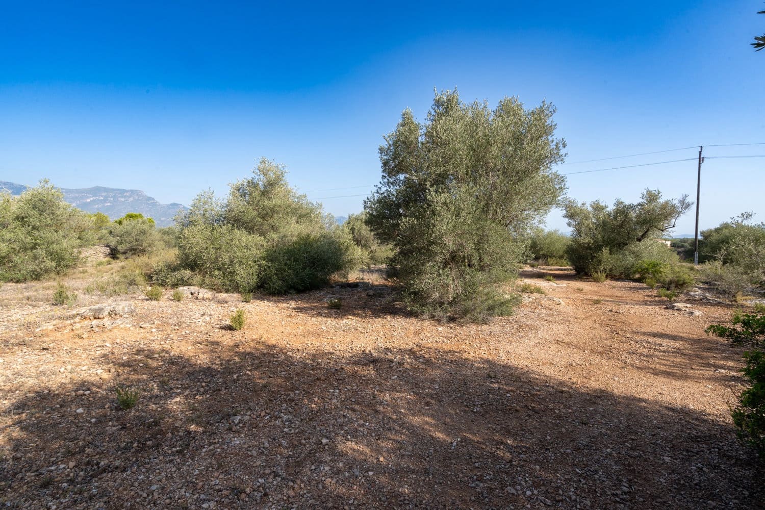 Finca/Hus på landet till salu i Roquetes - 160 000 € (Ref: 8452662)