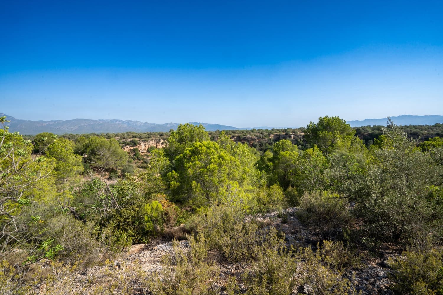 Finca/Hus på landet till salu i Roquetes - 160 000 € (Ref: 8452662)