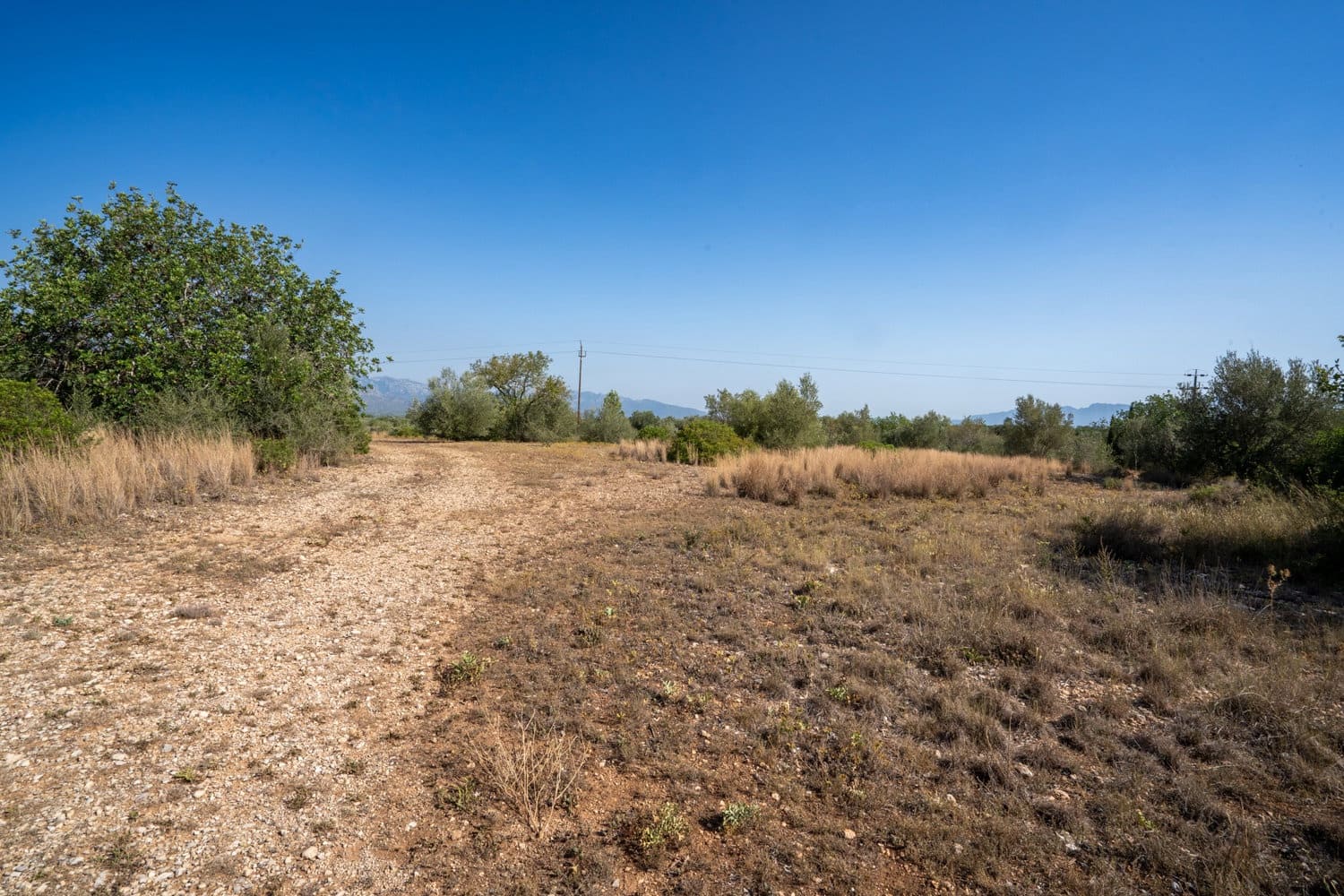 Finca/Hus på landet till salu i Roquetes - 160 000 € (Ref: 8452662)