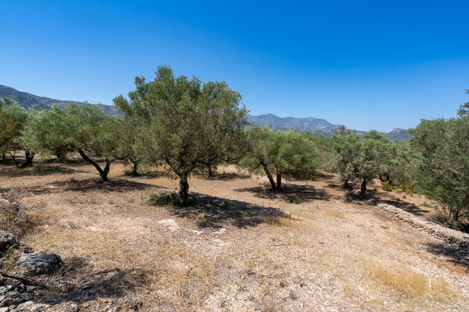 Finca/Herregård til salgs i Mas de Barberans - € 5 200 (Ref: 8454207)