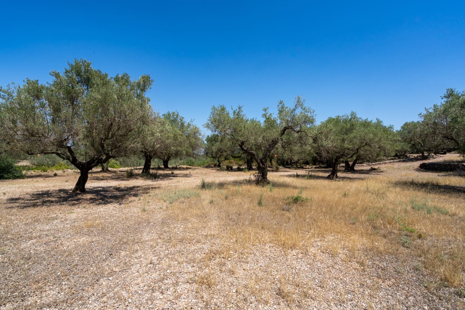 Finca/Herregård til salgs i Mas de Barberans - € 5 200 (Ref: 8454207)