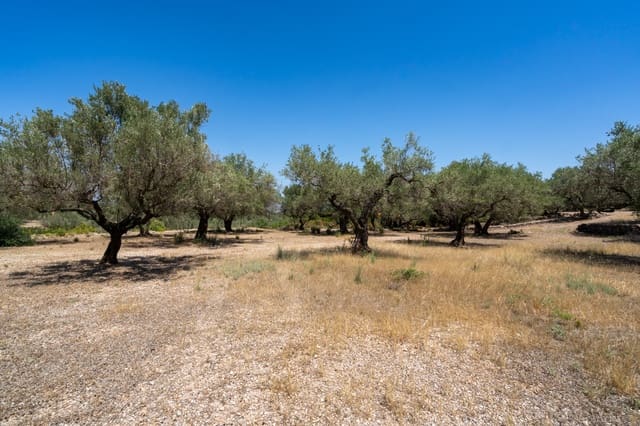 Finca/Herregård til salgs i Mas de Barberans - € 5 200 (Ref: 8454207)