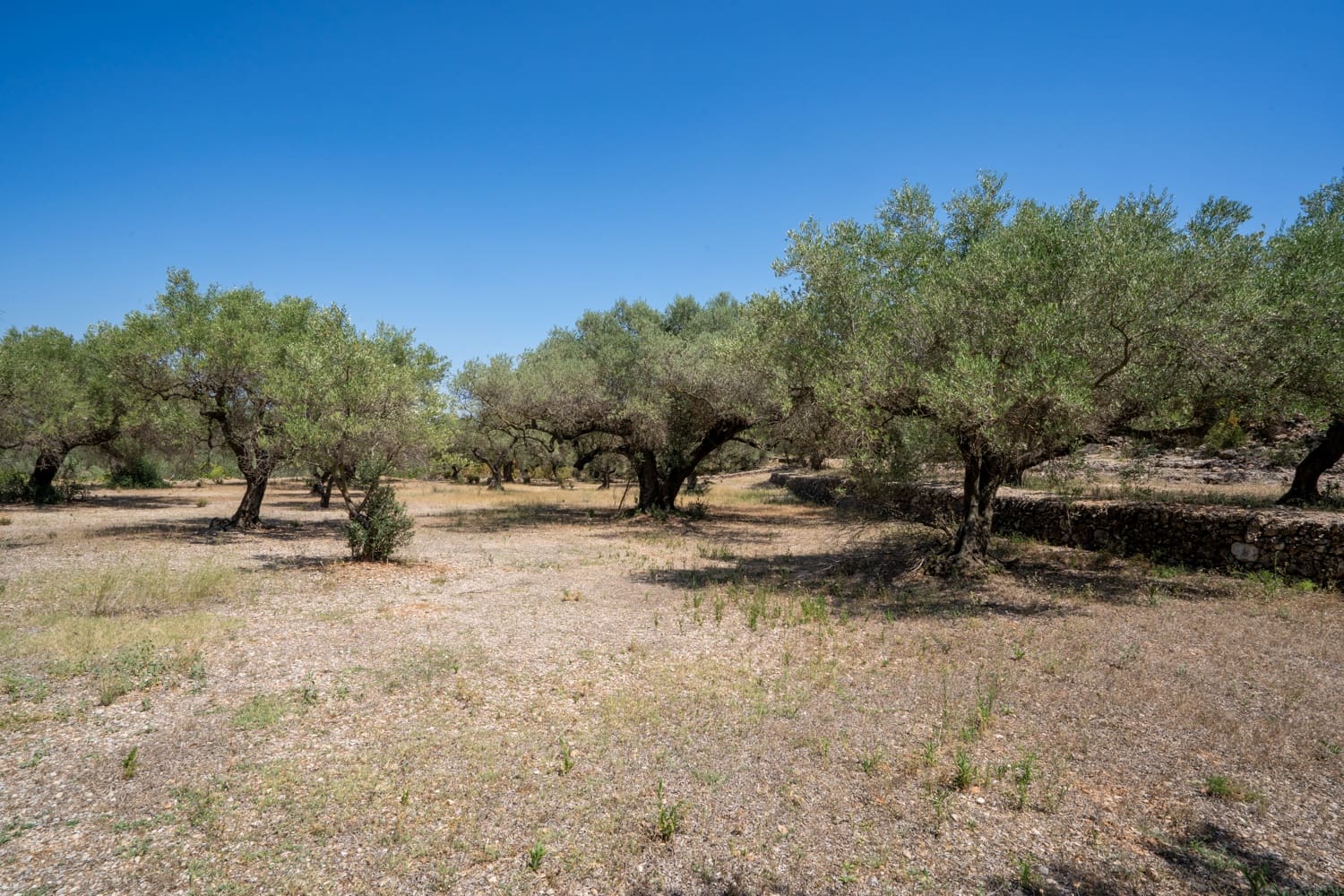 Finca/Herregård til salgs i Mas de Barberans - € 5 200 (Ref: 8454207)