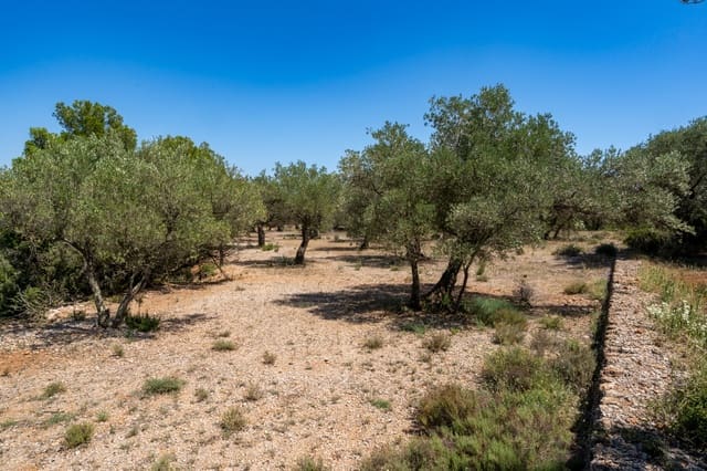 Finca/Herregård til salgs i Mas de Barberans - € 5 200 (Ref: 8454207)