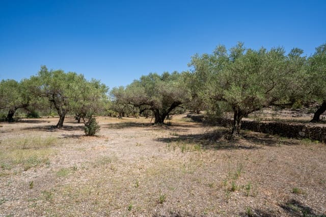 Finca/Herregård til salgs i Mas de Barberans - € 5 200 (Ref: 8454207)