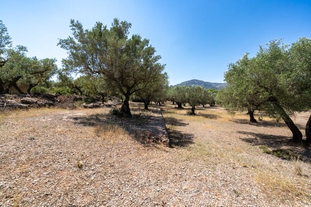 Finca/Herregård til salgs i Mas de Barberans - € 5 200 (Ref: 8454207)