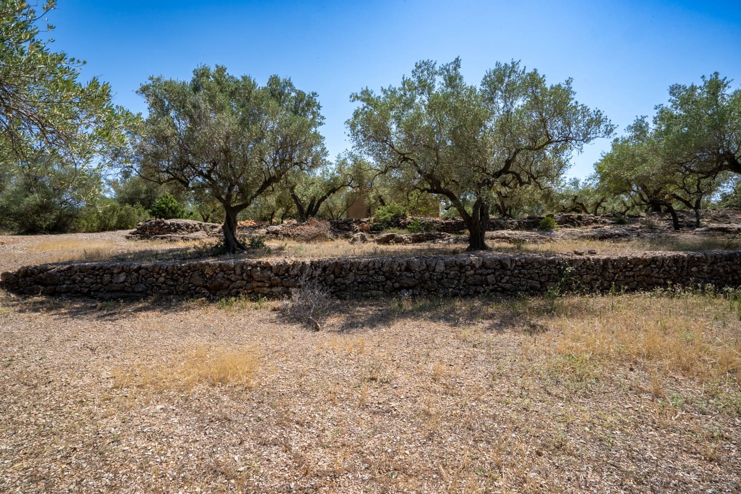 Finca/Herregård til salgs i Mas de Barberans - € 5 200 (Ref: 8454207)