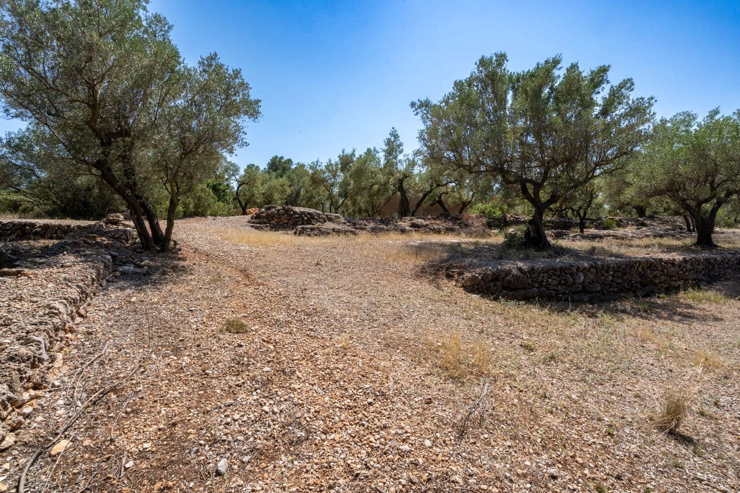 Finca/Herregård til salgs i Mas de Barberans - € 5 200 (Ref: 8454207)