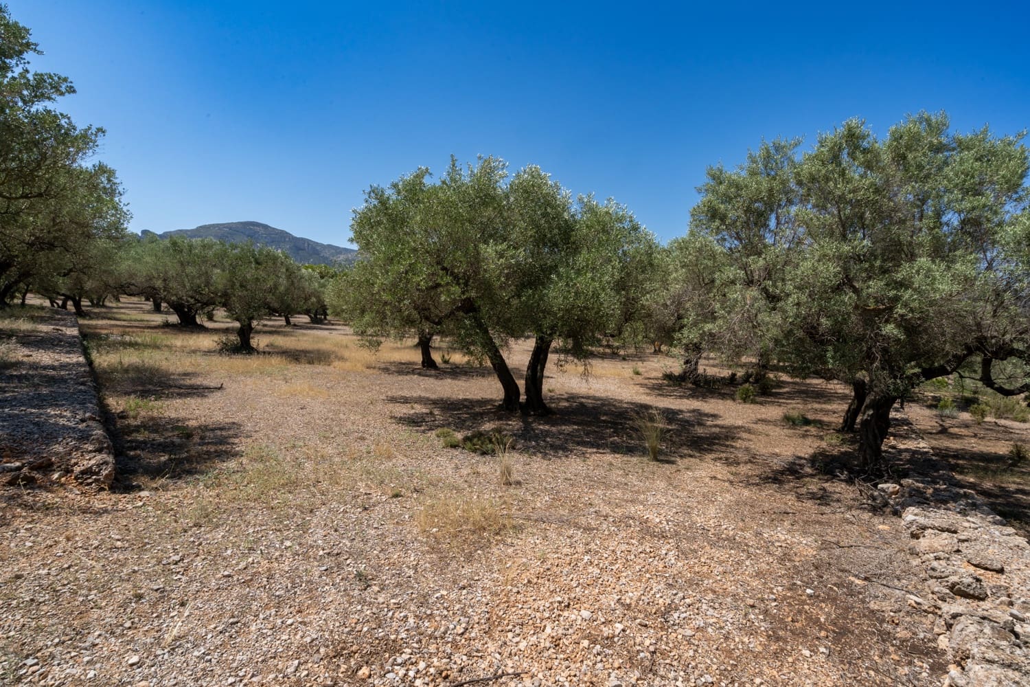 Finca/Herregård til salgs i Mas de Barberans - € 5 200 (Ref: 8454207)