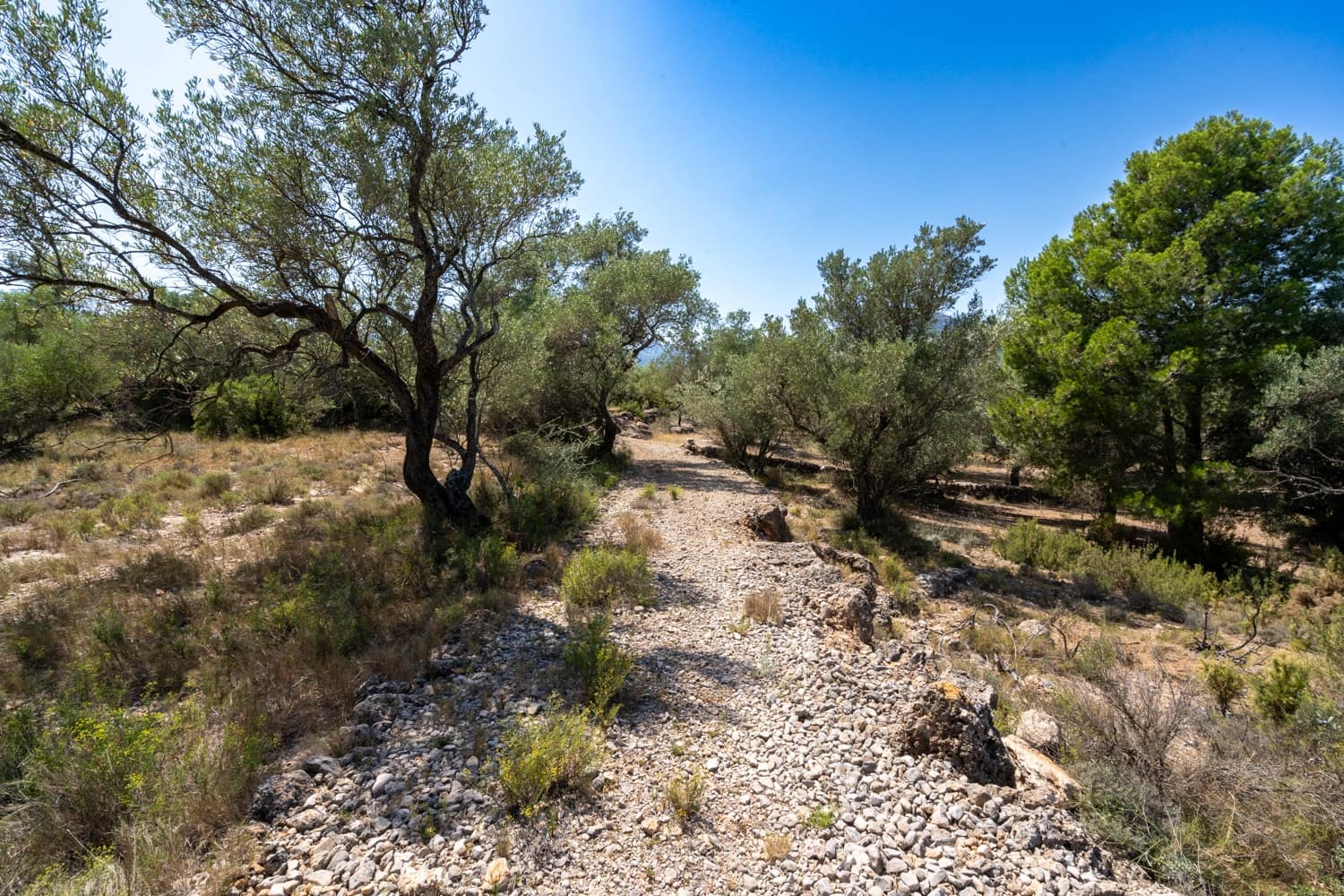 Finca/Herregård til salgs i Mas de Barberans - € 5 200 (Ref: 8454207)