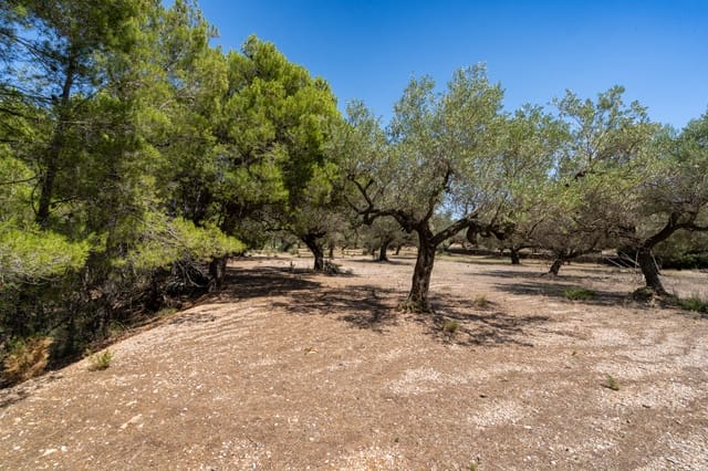 Finca/Herregård til salgs i Mas de Barberans - € 5 200 (Ref: 8454207)