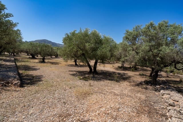 Finca/Herregård til salgs i Mas de Barberans - € 5 200 (Ref: 8454207)