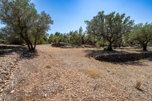 Finca/Herregård til salgs i Mas de Barberans - € 5 200 (Ref: 8454207)