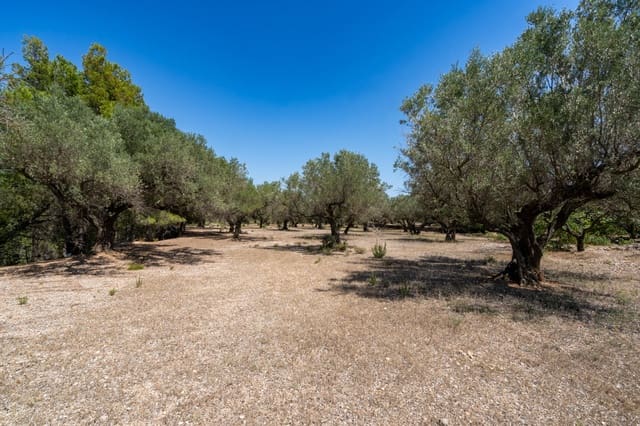 Finca/Herregård til salgs i Mas de Barberans - € 5 200 (Ref: 8454207)