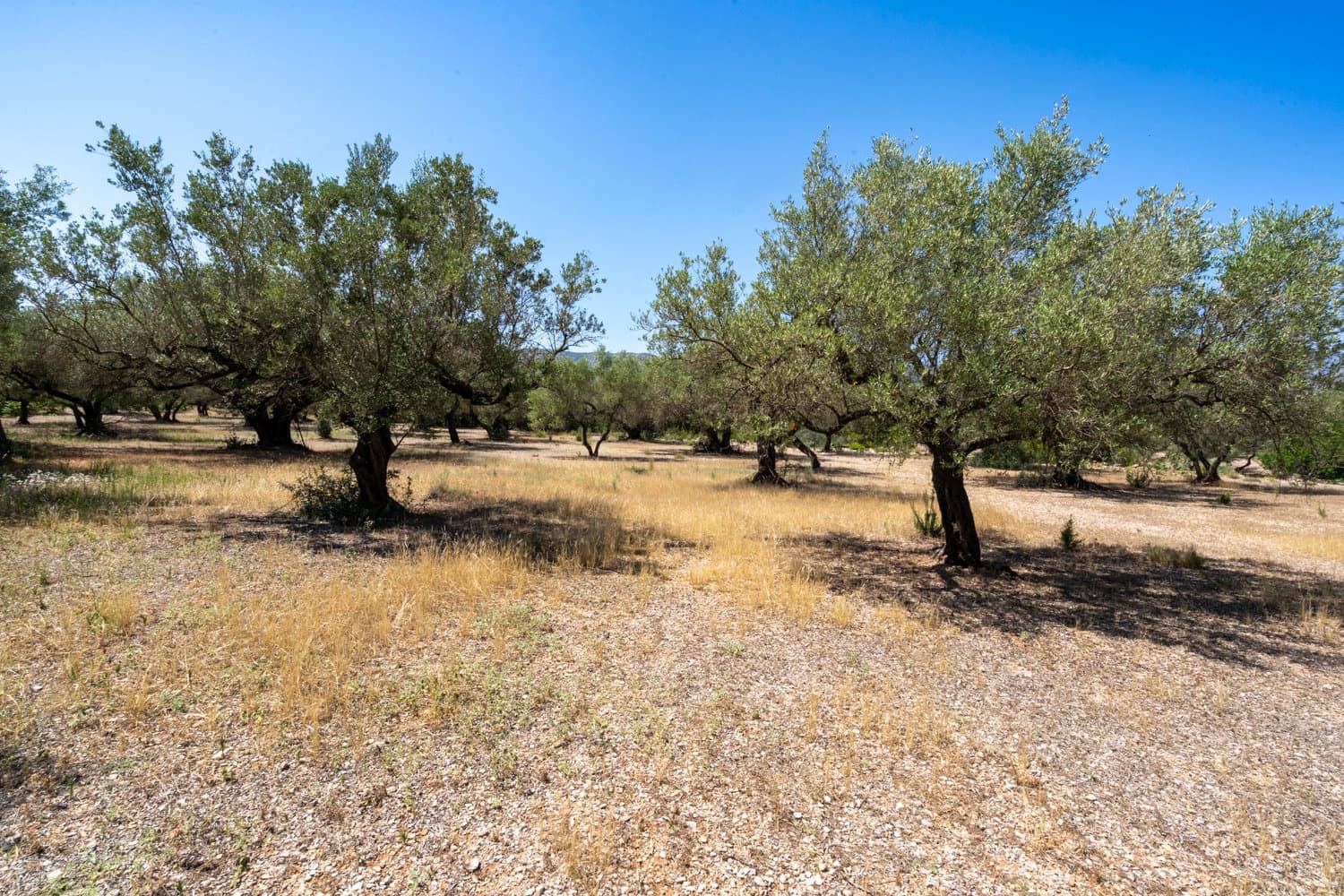 Finca/Herregård til salgs i Mas de Barberans - € 5 200 (Ref: 8454207)