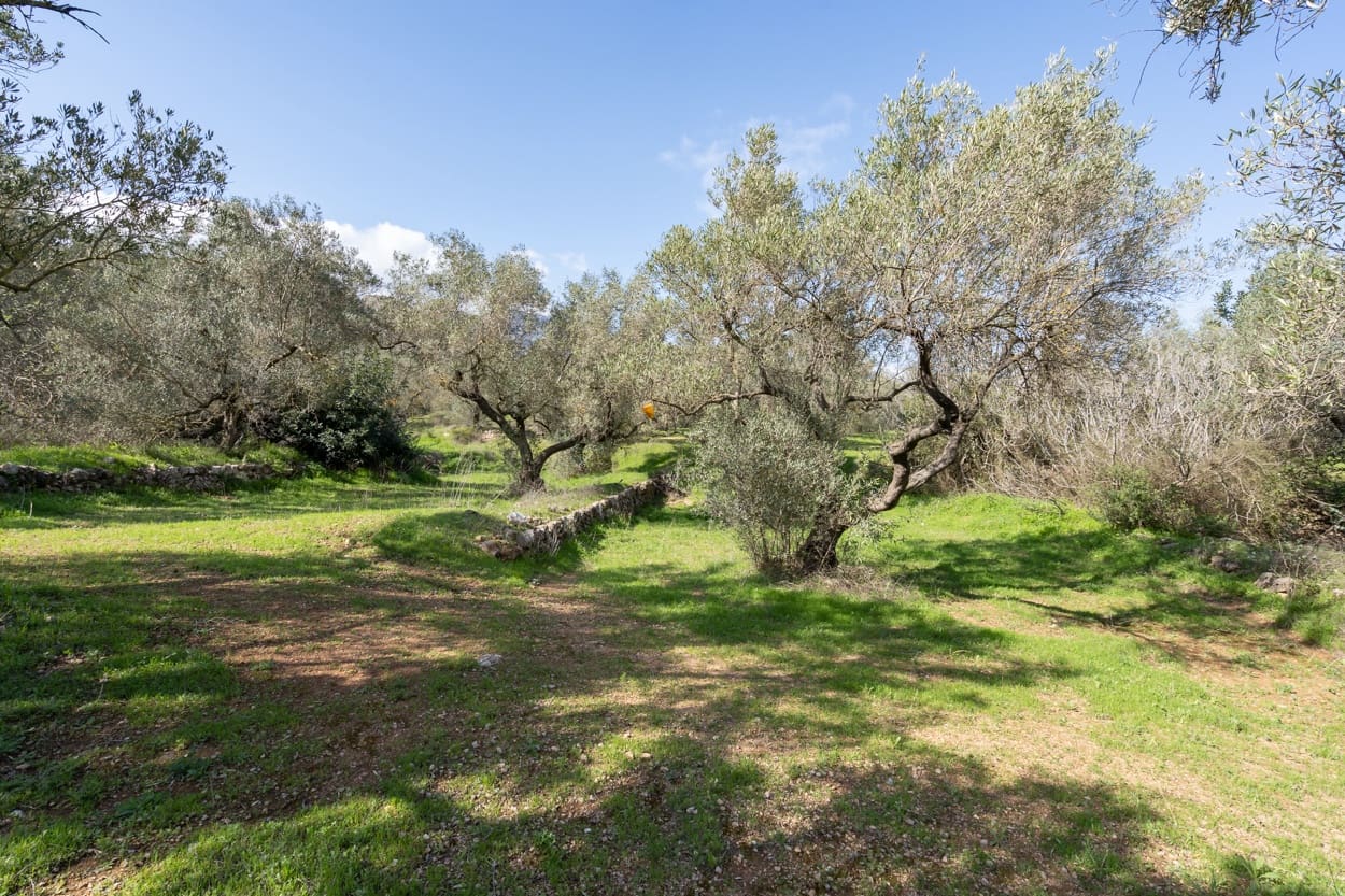 Finca/Landehus til salg i Roquetes - € 60.000 (Ref: 8456560)