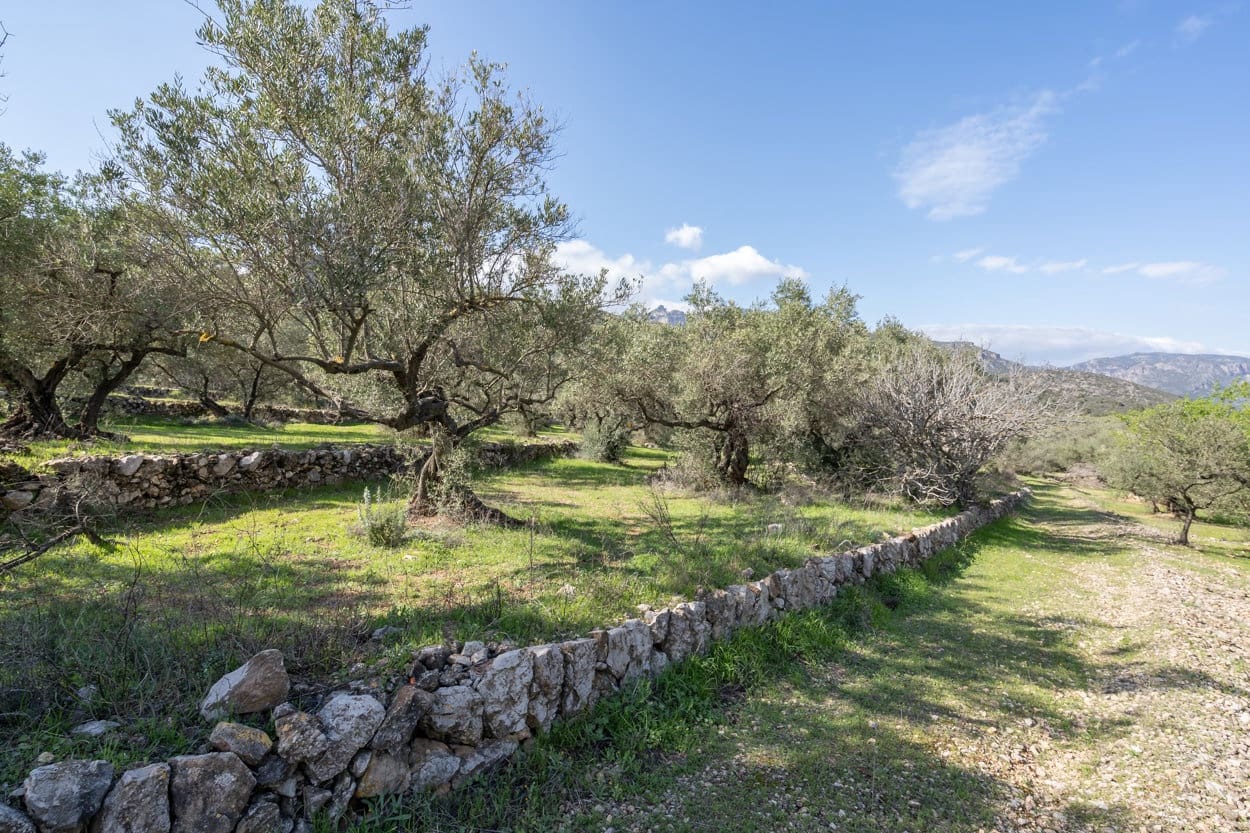 Finca/Casa di Campagna in vendita in Roquetes - 60.000 € (Rif: 8456560)