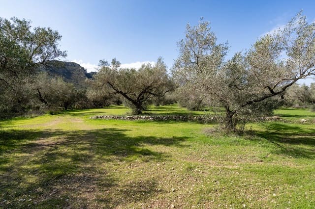 Finca/Casa di Campagna in vendita in Roquetes - 60.000 € (Rif: 8456560)