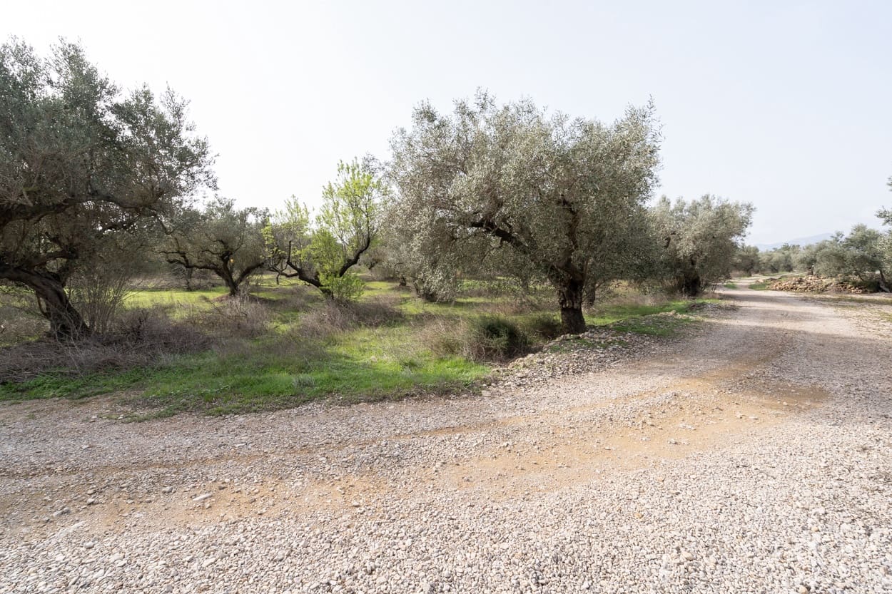 Finca/Herregård til salgs i Mas de Barberans - € 45 000 (Ref: 8456570)